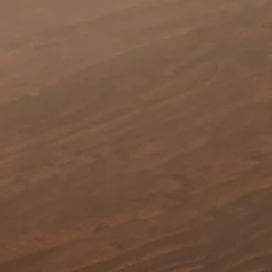 Palermo Desk Daisy Webbing Brown - Opalhouse™ Designed With Jungalow™ -Opalhouse™ GUEST 61380dbd 5e4d 4038 a2d7 571e94bfa394