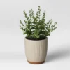 Textured Ceramic Planter Pots White - Opalhouse™ 1 Textured Ceramic Planter Pots White - Opalhouse™ -Opalhouse™ GUEST 81b3ab19 db4f 409c 9397 ff90f528d623