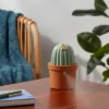 Cactus Ultrasonic Diffuser Green - Opalhouse™ -Opalhouse™ GUEST be681bb5 49e3 41f7 99a3 5bc52fb79585
